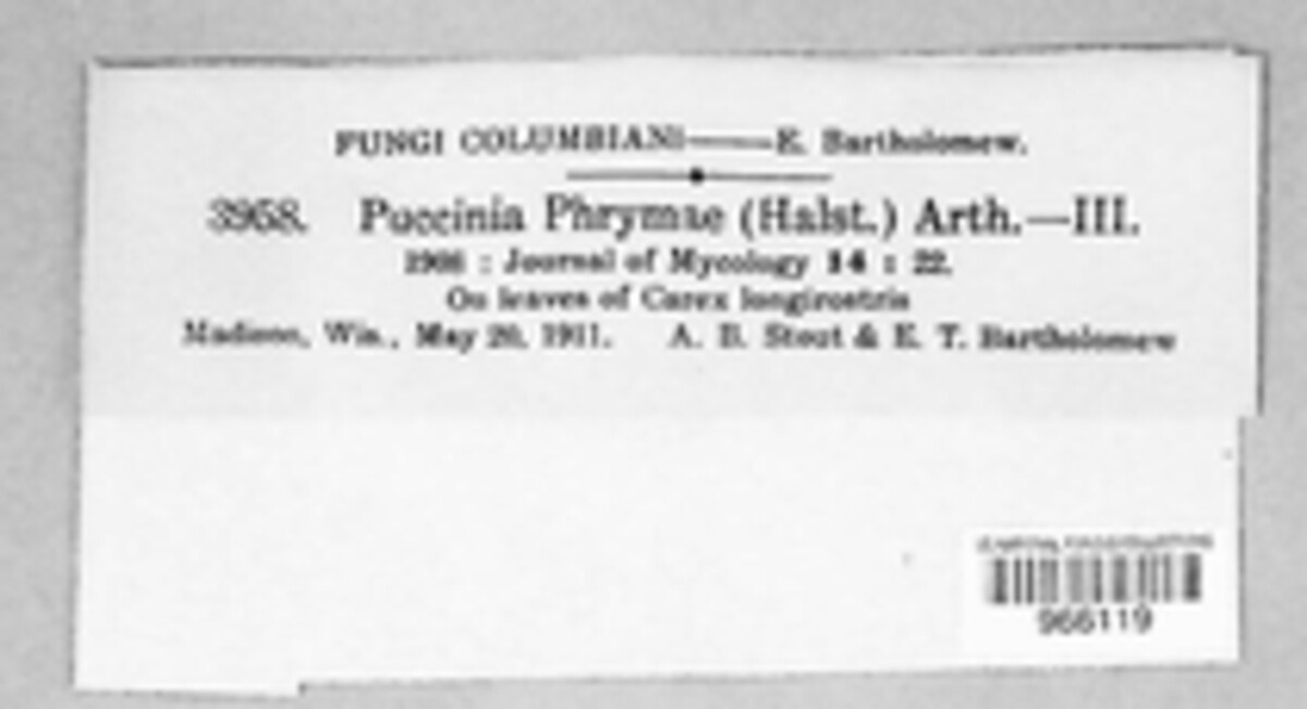Puccinia dioicae image